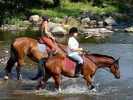 Pferdezentrum und Ponyclub in Bozouls